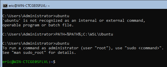 Screenshot of a Linux distribution successfully running after adding its path to the system's path environment variable