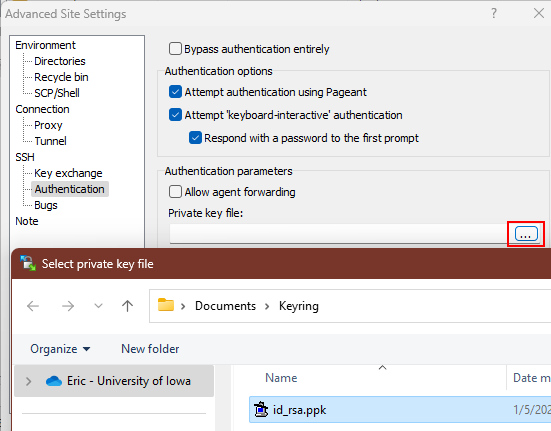 Screenshot of WinSCP's Authentication settings page with a file selected for import